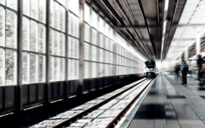 The Big Five for Life – Eine Reise zu den wichtigsten Fragen des Lebens